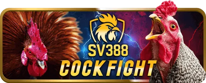 Cầu thủ bóng đá đang sút bóng trên sân, minh họa cho cá cược bóng đá tại Kingbet86pro link vào